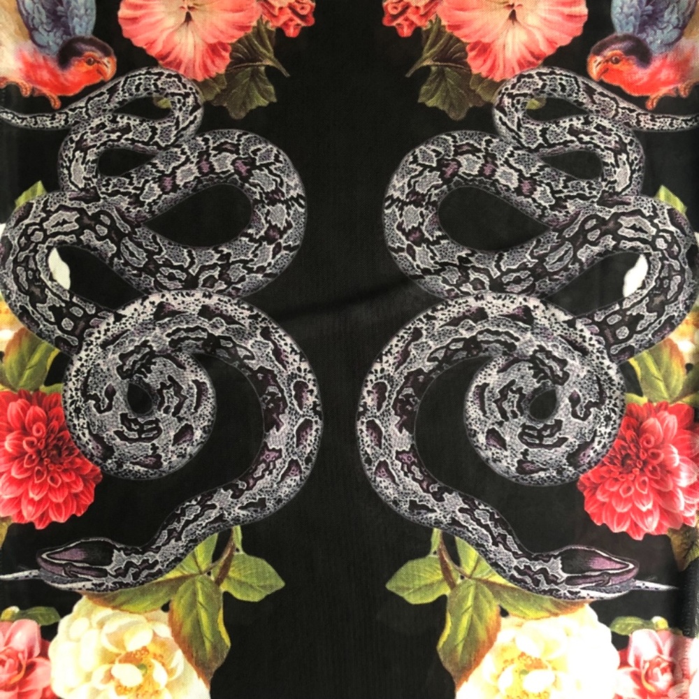 NWOT Nasty Gal Sheer London Body-con Dress - Picture 11 of 16